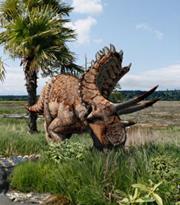 Photo provided by Agujaceratops by Julius Csotonyi & Alexandra Lefort